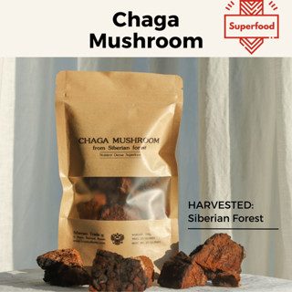 เห็ดชาก้าก้อนจากป่าไซบีเรีย ธรรมชาติ 100% พร้อมชงเป็นชา Chaga Mushroom Chunks from Siberian Forest  Wild and Natural