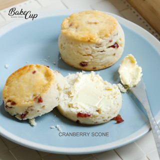 Cranberry Scone (สโคนแครนเบอร์รี)