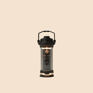 Cargo container Dual Light Mini