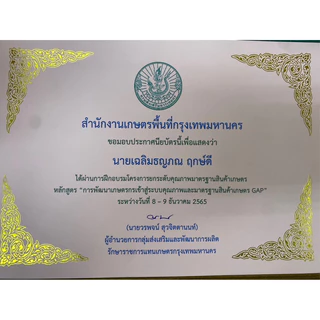 เมล็ดมะขาม 1 กิโลกรัม มะขามกาญจนบุรี มะขามเปรี้ยว เม็ดใหญ่ เม็ดมะขาม สำหรับคั่ว ทำกาแฟ ปลูกทำรั้ว ปลูก ทานทำยา