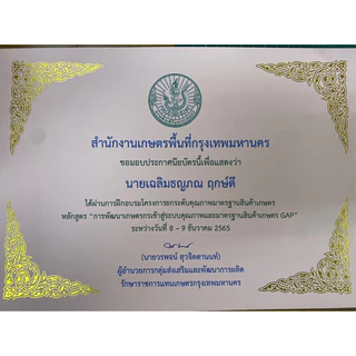 เมล็ดมะขาม 1 กิโลกรัม มะขามกาญจนบุรี มะขามเปรี้ยว เม็ดใหญ่ เม็ดมะขาม สำหรับคั่ว ทำกาแฟ ปลูกทำรั้ว ปลูก ทานทำยา