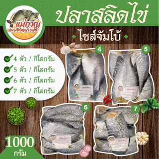 แหล่งขายและราคา(เจ้าเก่า เจ้าดัง) ไซต์จัมโบ้ ปลาสลิดไข่ตัวใหญ่ ;  1 กิโลกรัมอาจถูกใจคุณ