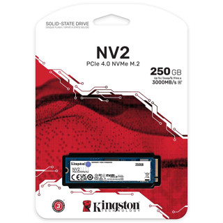 KINGSTON SSD 250 GB M.2 PCIe 4.0 NV2 (SNV2S/250G) NVMe ประกันศูนย์ไทย SYNNEX / INGRAM