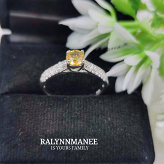 R6497 แหวนพลอยบุษราคัมแท้ ( Yellow sapphire ) ตัวเรือนเงินแท้ 925 ชุบทองคำขาว ไซส์ 55 แก้ไซส์ฟรี