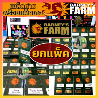 เมล็ดค่าย Barneys Farm Feminized Seeds เมล็ดกัญ ชา พร้อมแพ็คเกจ ออโต้ / โฟโต้ เพศเมีย100% เมล็ดกัญชานอก แท้100%