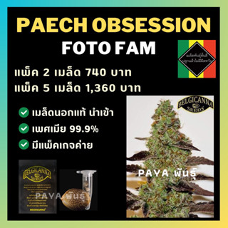 เมล็ดกัญชานอก นำเข้า งานค่าย แท้ 💯 มีแพ็คเกจ เมล็ดพันธ์ุกัญชาสายพันธุ์ peach obsession (ค่ายBelgicanna)