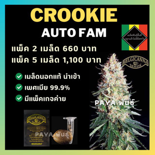 เมล็ดกัญชานอก นำเข้า งานค่าย แท้ 💯 มีแพ็คเกจ เมล็ดพันธ์ุกัญชาสายพันธุ์ Crookie auto (ค่ายBelgicanna)