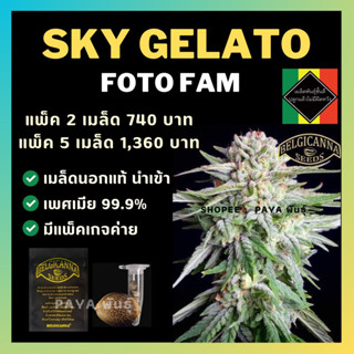 เมล็ดกัญชานอก นำเข้า งานค่ายแท้ 💯 มีแพ็คเกจ เมล็ดพันธ์ุกัญชาสายพันธุ์ sky gelato (ค่ายBelgicanna)