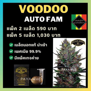 เมล็ดกัญชานอก นำเข้า งานค่าย แท้ 💯 มีแพ็คเกจ เมล็ดพันธ์ุกัญชาสายพันธุ์ voodoo (ค่ายBelgicanna)