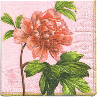 Pladao Napkin ภาพดอกไม้ ดอกโบตั๋นชมพู ดอกใหญ่ วินเทจ Peony กระดาษ แนพกิ้น สำหรับงานศิลปะ เดคูพาจ decoupage ขนาด L 33x33