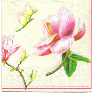 Pladao Napkin ภาพดอกไม้ ดอกแมกโนเลีย ชมพู หลายแบบ Magnoliaกระดาษ แนพกิ้น สำหรับงานศิลปะ เดคูพาจ decoupage ขนาด L 33x33