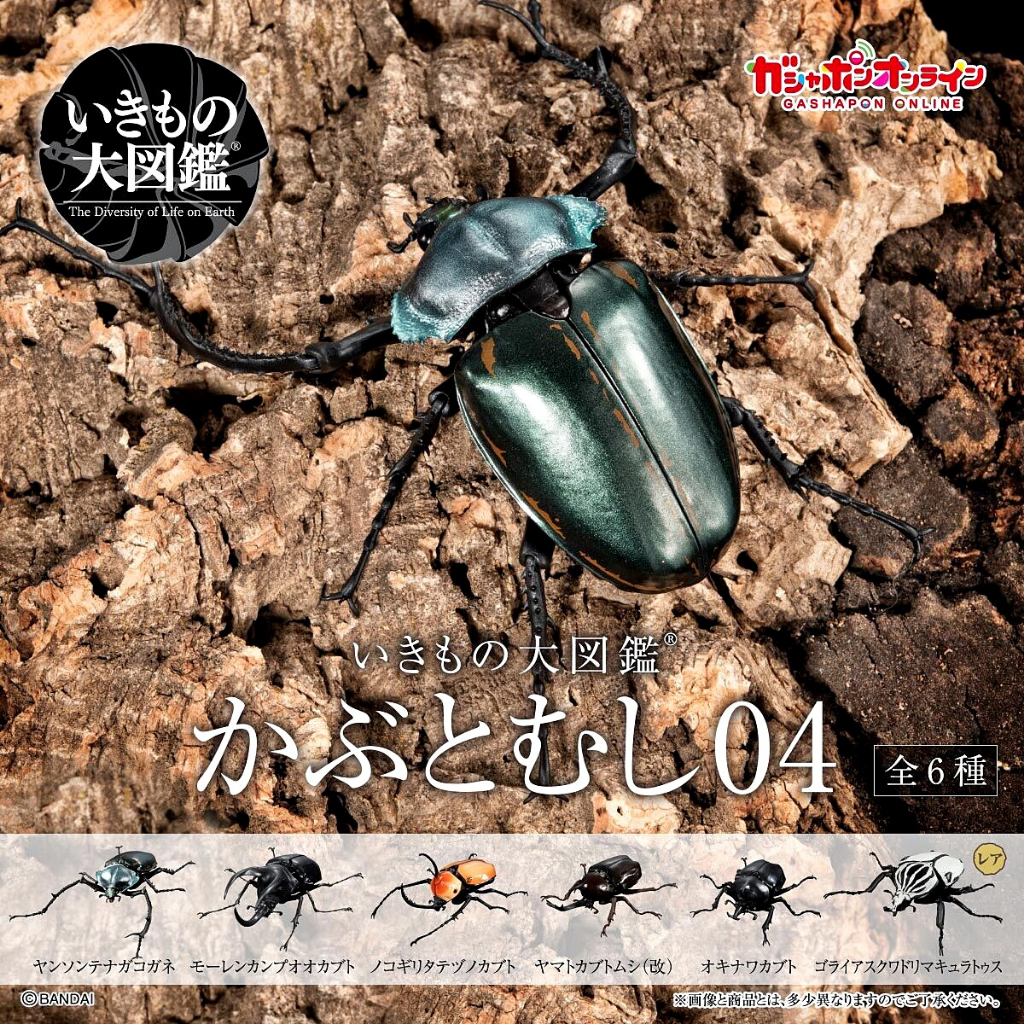 (เพิ่มสีส้มแบบพร้อมส่ง) กาชาปองด้วงกว่าง Gashapon Bandai Kuwagata Hercules Beetle Action Vol.04 โมเด
