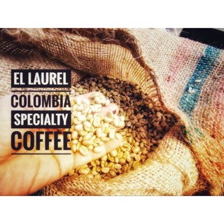 สารกาแฟ El Laurel Colombia Specialty Coffee 500กรัม