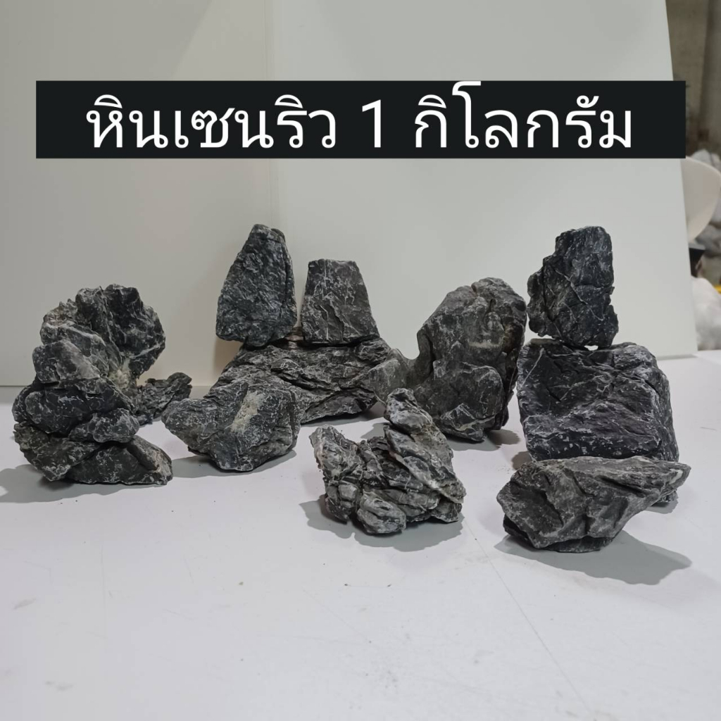 หินเซนริว รวม1กิโล หินตกแต่งตู้ปลา หินจัด Layout หินจัดตู้ปลา Seiryu Stone หินเซนริว