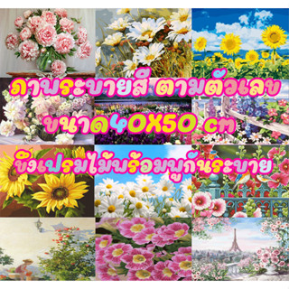 รูปวาดรวมลาย6 ขึงเฟรมไม้ HOME DIY สินค้าอยู่ไทยพร้อมส่ง ภาพระบายสีตามตัวเลข ขนาด40x50cm ขึงเฟรมไม้!! jr_gadget