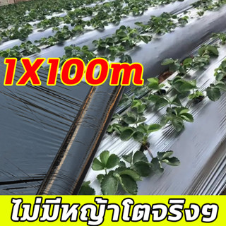 ไม่มีหญ้าโตจริงๆ！พลาสติกคลุมดิน 1x100m ผ้ายางคุมดิน ผ้าคลุมวัชพืช ผ้ายางดำคุมดิน ผลของการกำจัดวัชพืชชัดเจน