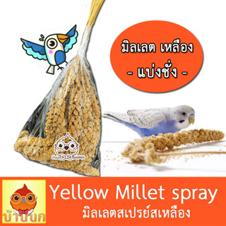 มิลเลตสเปรย์ แบ่งชั่ง 200g / 500g Yellow Millet spray หัดแทะ แก้เบื่อ แก้เหงา อาหารนก ของเล่นนก นกแก้ว มิลเลต ขนมนก