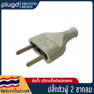 หัวปลั๊กตัวผู้ 2 ขากลม สีขาว 10A 250V (D-20)