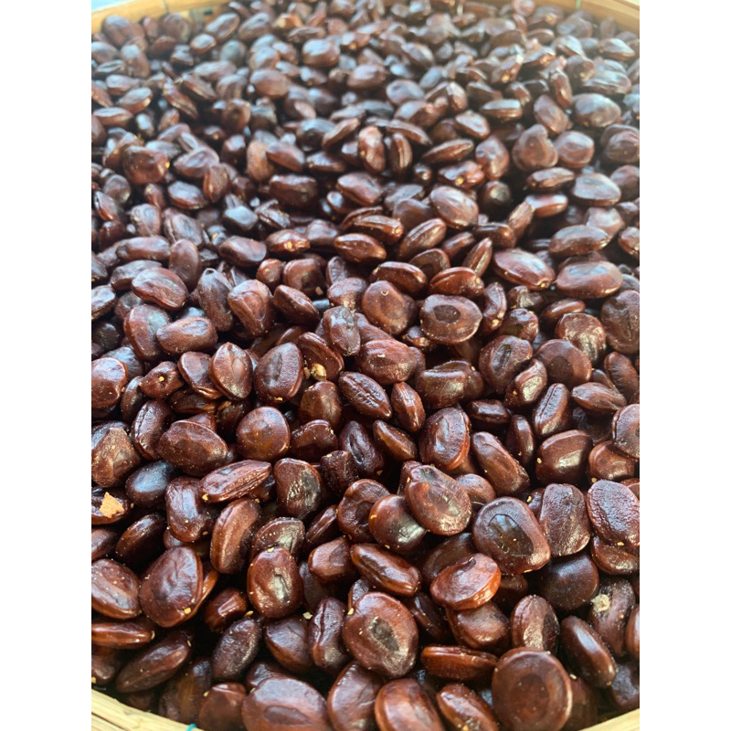เมล็ดมะขาม 1 กิโลกรัม มะขามกาญจนบุรี มะขามเปรี้ยว เม็ดใหญ่ เม็ดมะขาม สำหรับคั่ว ทำกาแฟ ปลูกทำรั้ว ปล