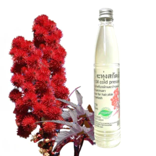 น้ำมันละหุ่ง น้ำมันละหุ่งสกัดเย็น ออแกนิกส์ เพียว 100% Castor oil cold pressed organic น้ำมันระหุ่ง Hexane Free