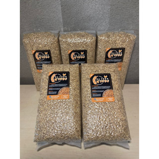 ข้าวโอ๊ตเต็มเมล็ด แบบหุง Oats Groat 1000g.x5ถุง