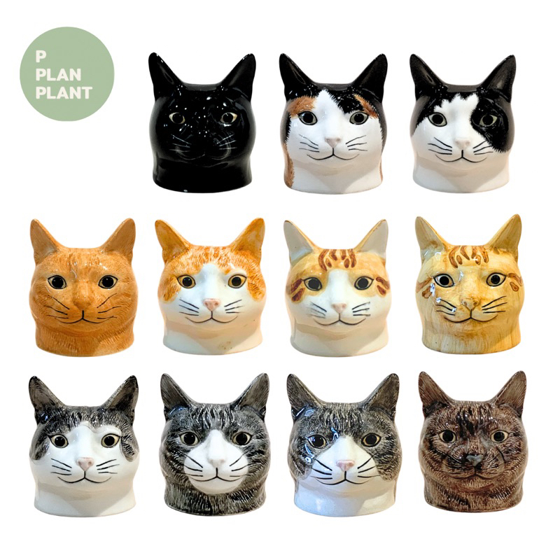Cat Egg cups : ถ้วยวางไข่ต้ม เซรามิครูปแมว  ของแต่งบ้าน **กรุงเทพมีส่งด่วน!**