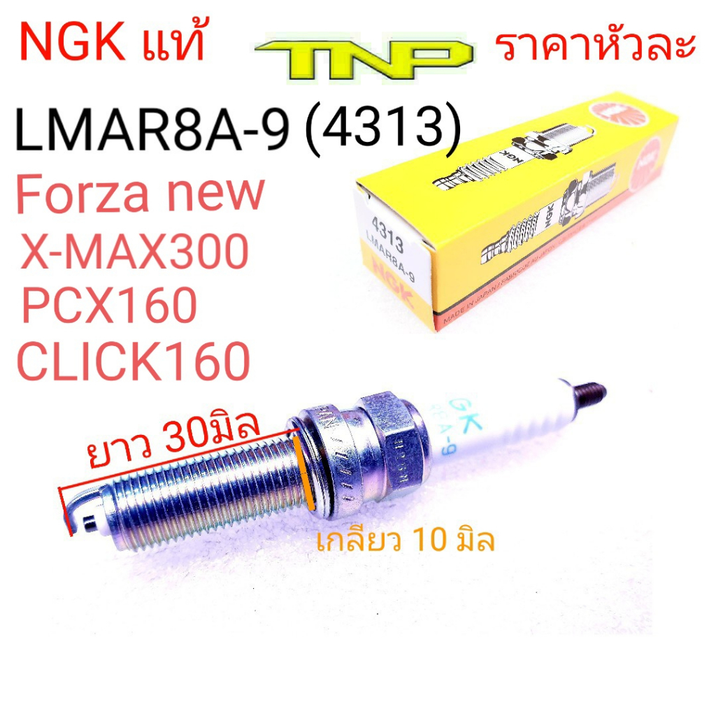 NGK,LMAR8A-9,4313,หัวเทียน XMAX,หัวเทียน FORZA NEW,หัวเทียน PCX160,หัวเทียน CLICK160,PCX160,CLICK160,XMAX300