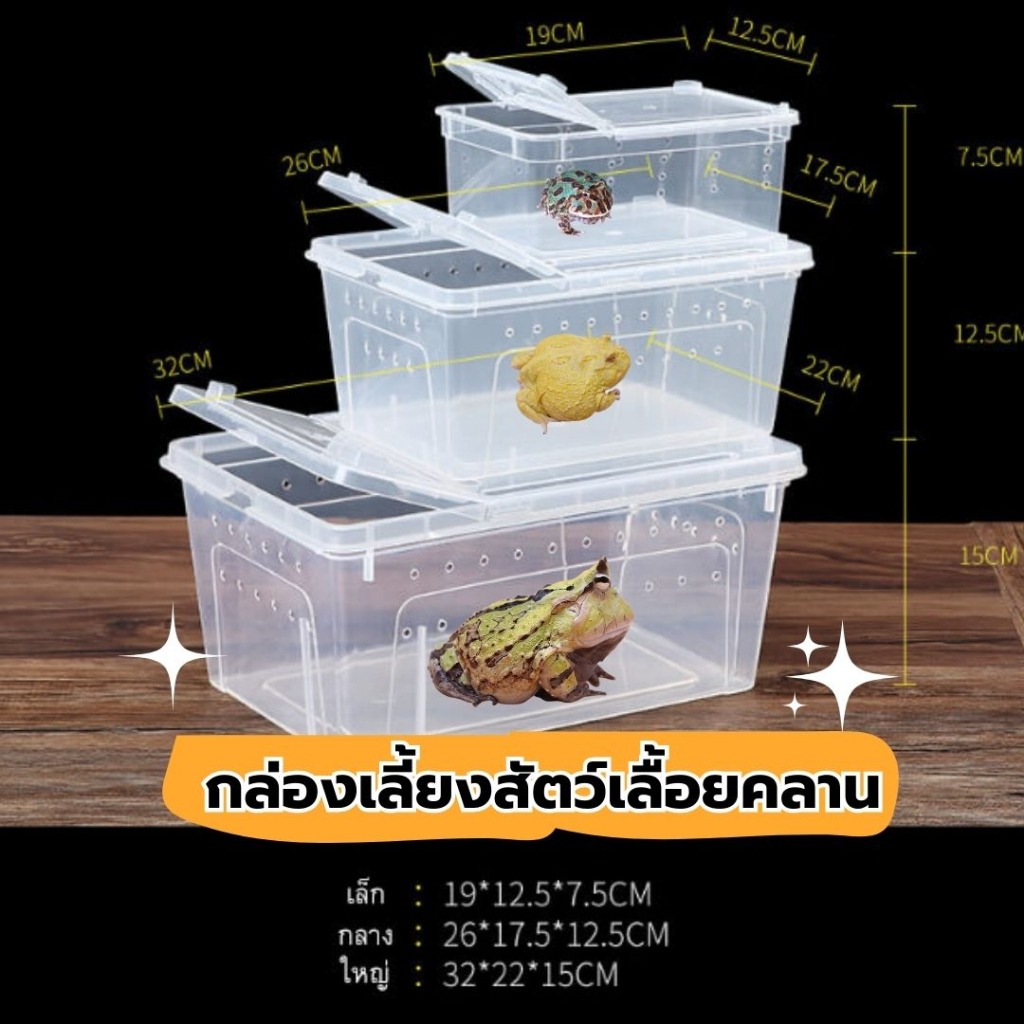 กล่องเลี้ยงสัตว์เลื้อยคลาน ตราแมงมุม เลี้ยง เต่า แมงมุม ตุ๊กแก กบฮอร์นฟรอก งู ตะขาบ แมงป่อง วางซ้อนได้ มีรูระบายอากาศ