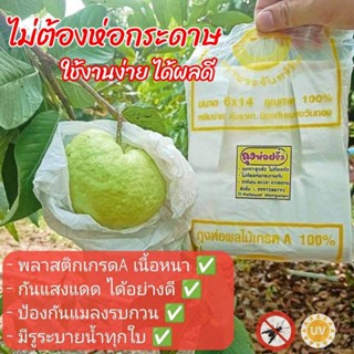 ถุงห่อฝรั่ง กันแสงUV และป้องกันแมลง ขนาด 6×14 เจาะรูแล้วจากโ…