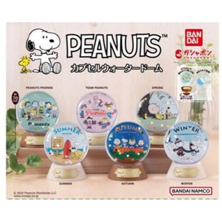 🌟พร้อมส่ง🌟 กาชาปอง Gachapon Peanuts  Snoopy  Water  Dome