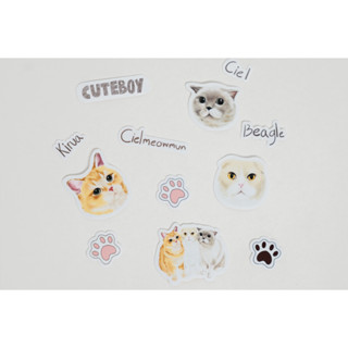 CuteBoy x Cielmeowmun Stickers Set สติ๊กเกอร์ไดคัท 12 ลาย