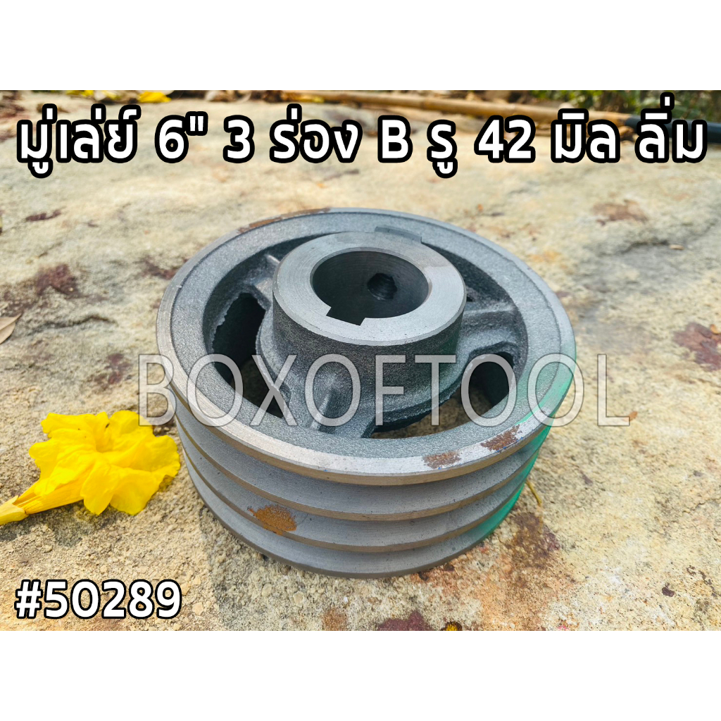 มู่เล่ย์ 6” 3 ร่อง B รู 42 มิล ลิ่ม