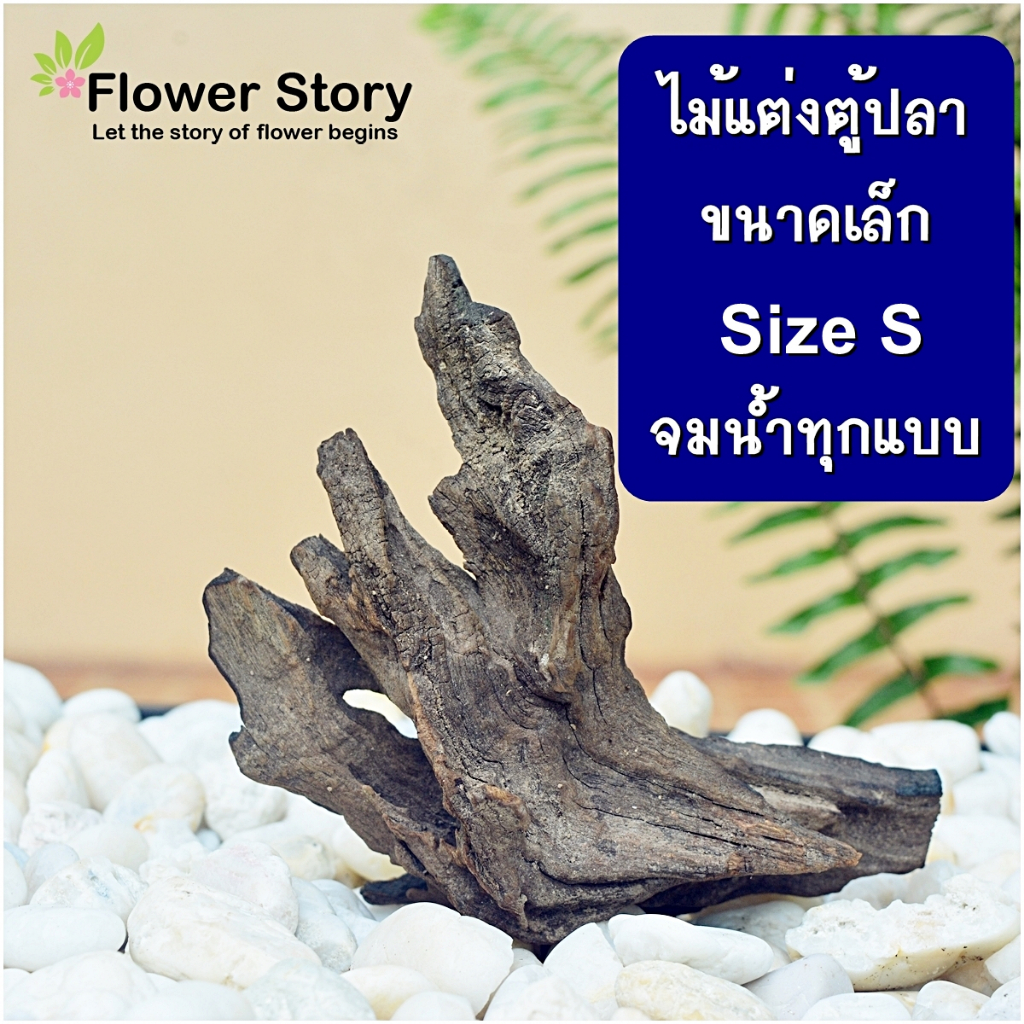 ตอไม้ ไม้​แต่งตู้ปลา จมน้ำทุกแบบ ขนาดเล็ก size S (เลี้ยงสัตว์ แมลง) wood / Aquarium / Driftwood