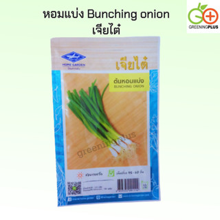 หอมแบ่ง Bunching onion เจียไต๋