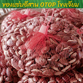 ถูกที่สุด โลละ140 กระบกเม็ดสดตากแห้ง เกรดพรีเมียม OTOP โขงเจียม อุบลราชธานี