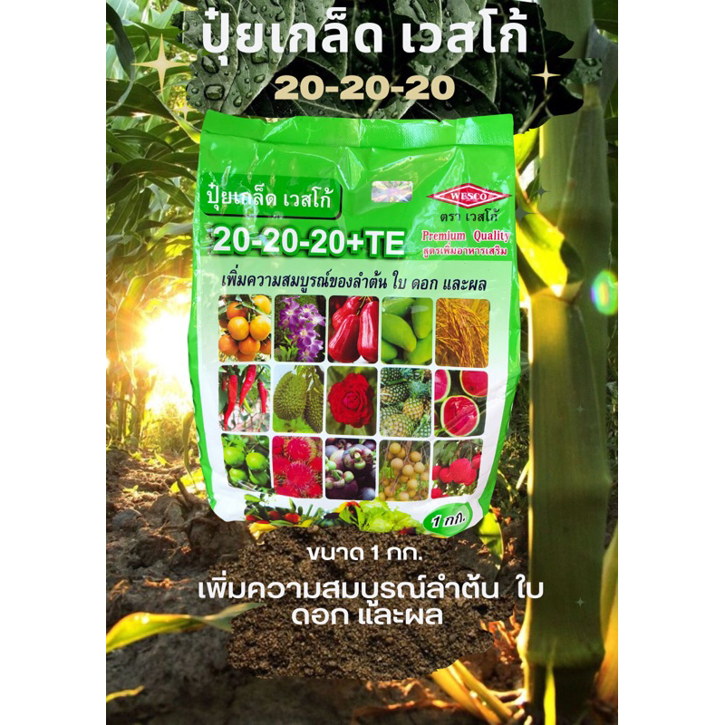 ปุ๋ยเกล็ดเวสโก้ 20-20-20+TE เพิ่มความสมบูรณ์ของลำต้น ใบ ดอก และผล
