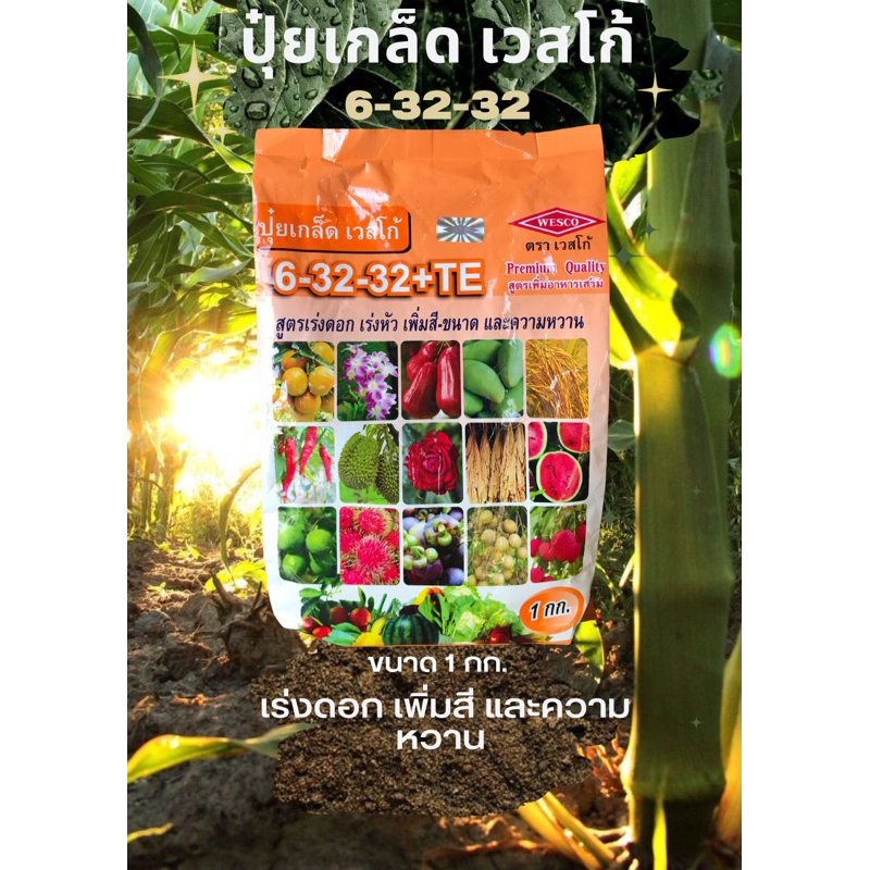 ปุ๋ยเกล็ดเวสโก้ 6-32-32+TE เร่งดอก เพิ่มสี และความหวาน