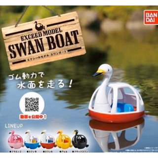 พร้อมส่ง ของแท้ 🇯🇵 เรือเป็ด swan boat