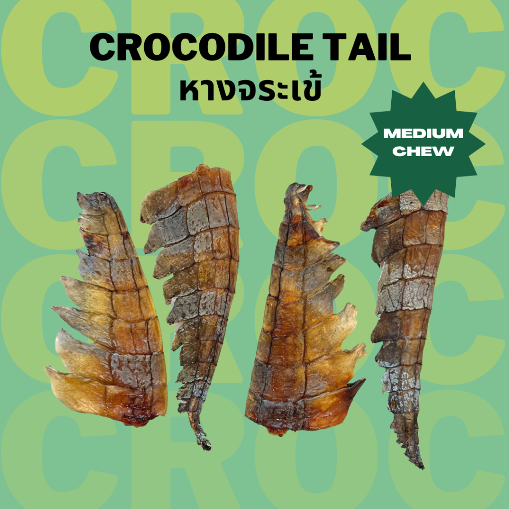 หางจระเข้อบแห้ง ขัดฟัน แทะนาน เจ้าแรกในไทย Bella's Bites Crocodile Tail Chew for Dogs