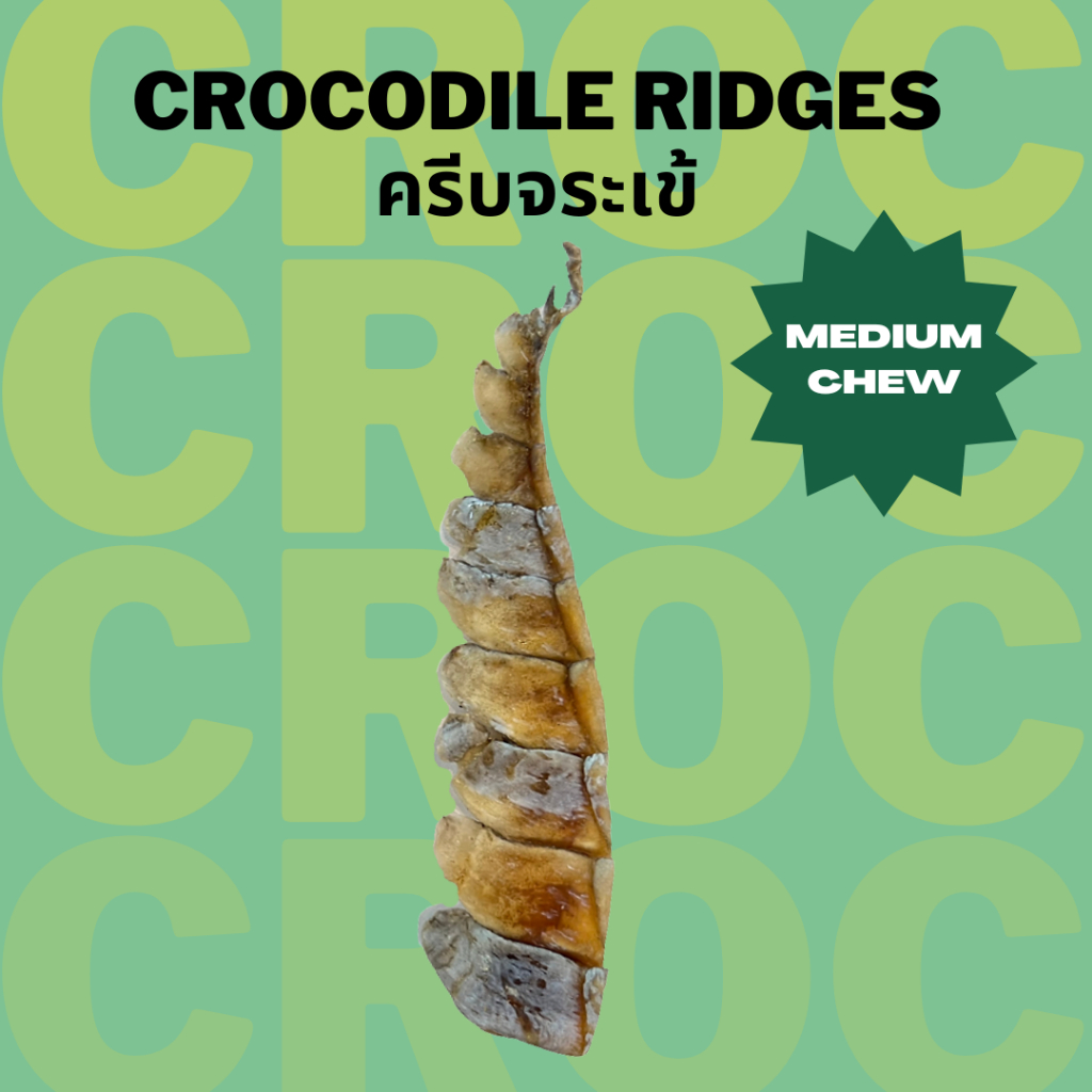 ครีบจระเข้อบแห้ง เจ้าแรกในไทย Bella's Bites Crocodile Ridges Chew Treat for Dogs