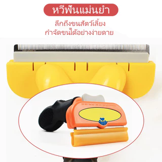 หวีแปรงขนสัตว์เลี้ยง แปรงขนสุนัข