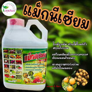 แม็กนีเซียม ขนาด 5 ลิตร ช่วยให้พืชมีใบเขียวเข้ม ช่วยให้ใบแก่เร็ว หยุดใบอ่อน เตรียมต้นเพื่อการออกดอก สะสมอาหารเร่งด่วน