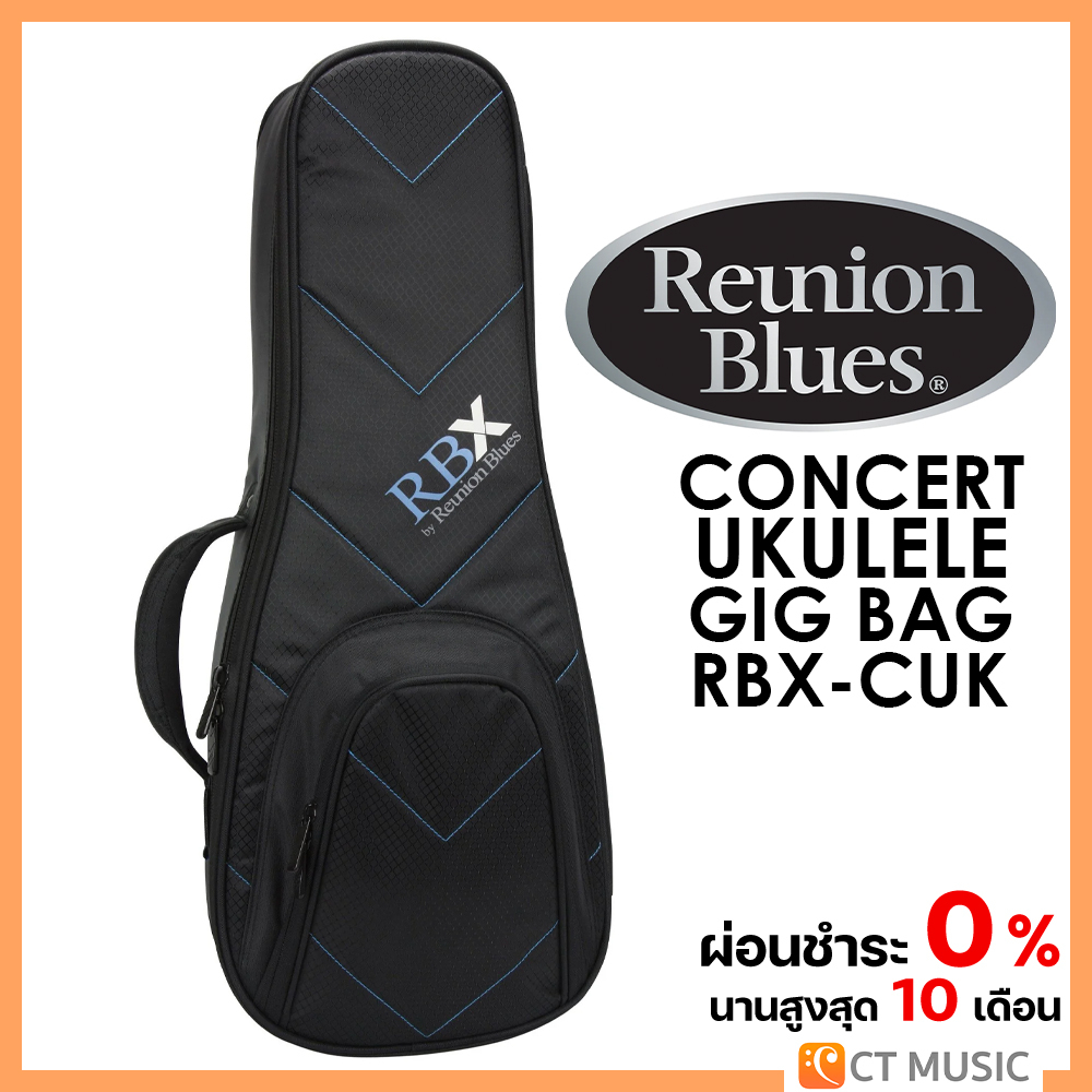 Reunion Blues RBXPB2816 エフェクターボードケース - 器材