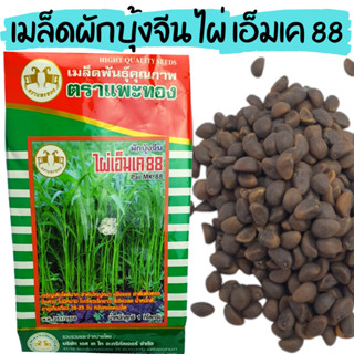 เมล็ดพันธุ์ ผักบุ้งจีน 1 กิโลกรัม ใบใหญ่ งอกไว เก็บเกี่ยวเร็ว ไผ่เอ็มเค 88 ตรา แพะทอง