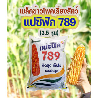 เมล็ดพันธุ์ ข้าวโพดเลี้ยงสัตว์ 789แปซิฟิค ถุง 5 กก สีสวย ได้ผลผลิตสูง ฟักใหญ่ แกนลึก สีส้มแสด 3 หุน ระยะเก็บ 105 วัน