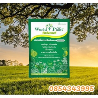 ค่าส่งถูก✅พร้อมส่ง✅World Plant เวิลด์แพลนท์ คู่หูมหัศจรรย์ กรดอะมิโน