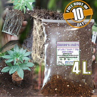 ดินเพาะกล้า เพาะเมล็ด ชำกิ่ง ผสมสำเร็จสูตรพิเศษ (Plant seeding Full Root in 10 day👍)