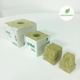 Rockwool Grodan เพาะต้นกล้า เพาะเมล็ด เพาะชำ ไฮโดรโปนิกส์ hydroponics