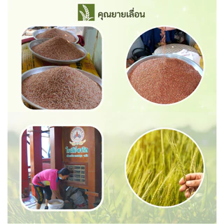 🌾ข้าวสังข์หยด (ขนาด 1 กิโล) 🔥ข้าวใหม่ สีข้าวทุกวันตามคำสั่งซื้อ 🔥ปลอดสาร จากเกษตรกรบ้านนาหน้าวัง พัทลุง