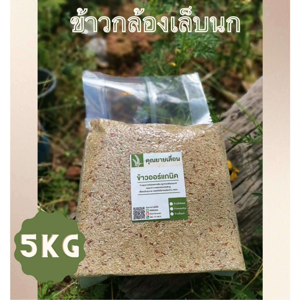 🌾ข้าวเล็บนก (ขนาด 5 กิโล) ข้าวเพื่อสุขภาพ 🔥ข้าวใหม่สีข้าวได้ทุกวัน 🔥 ออแกนิก100% จากเกษตรกรบ้านหน้าวัง จ.พัทลุง